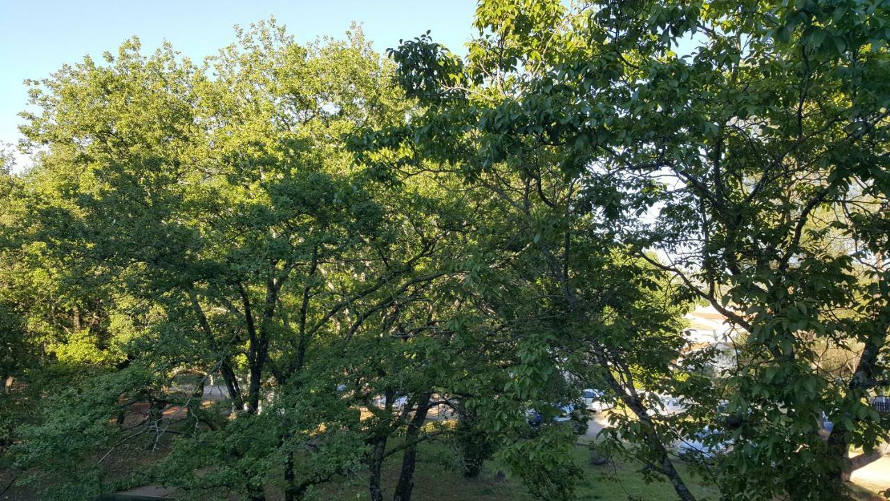 Apartament Matilda *